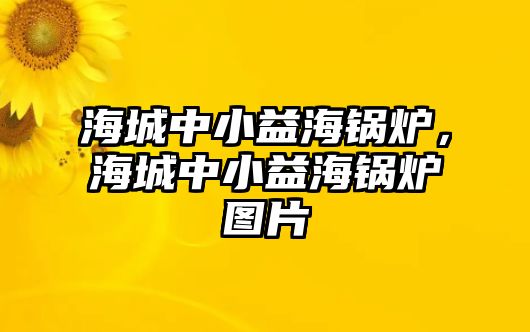 海城中小益海鍋爐，海城中小益海鍋爐圖片