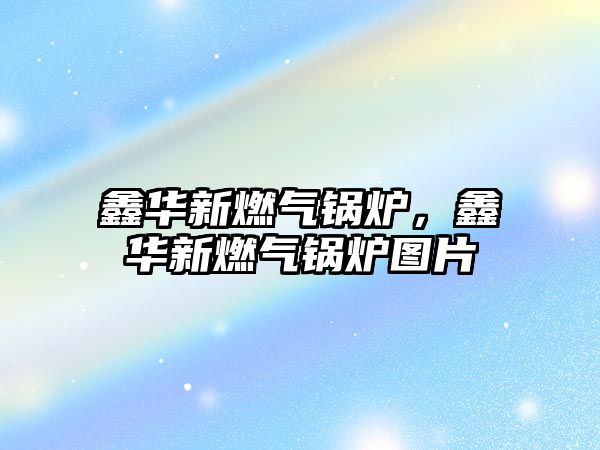 鑫華新燃?xì)忮仩t，鑫華新燃?xì)忮仩t圖片