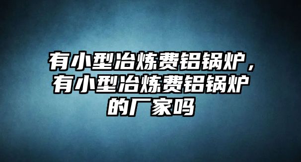 有小型冶煉費鋁鍋爐，有小型冶煉費鋁鍋爐的廠家嗎