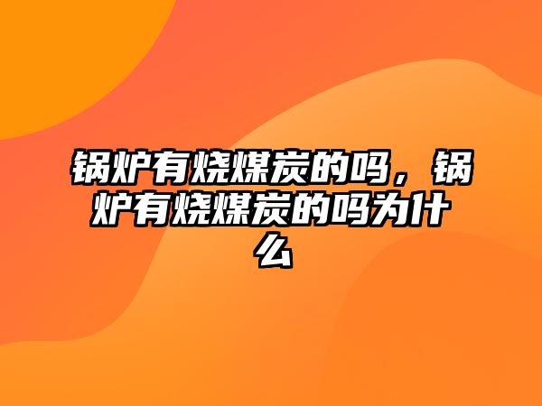 鍋爐有燒煤炭的嗎，鍋爐有燒煤炭的嗎為什么