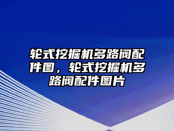 輪式挖掘機(jī)多路閥配件圖，輪式挖掘機(jī)多路閥配件圖片