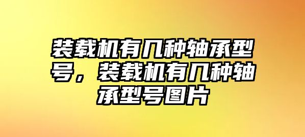 裝載機(jī)有幾種軸承型號(hào)，裝載機(jī)有幾種軸承型號(hào)圖片