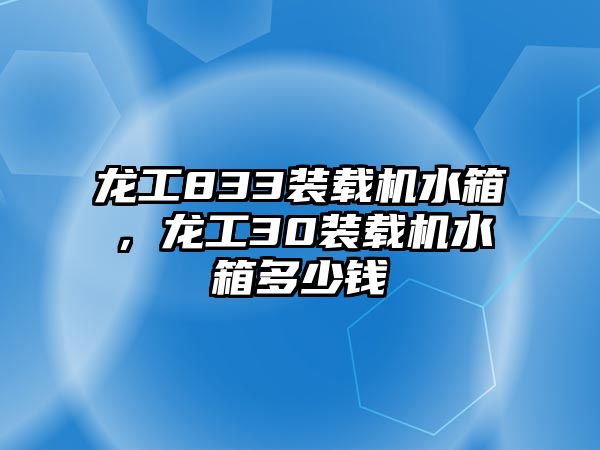 龍工833裝載機(jī)水箱，龍工30裝載機(jī)水箱多少錢