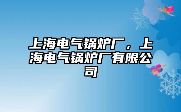 上海電氣鍋爐廠，上海電氣鍋爐廠有限公司