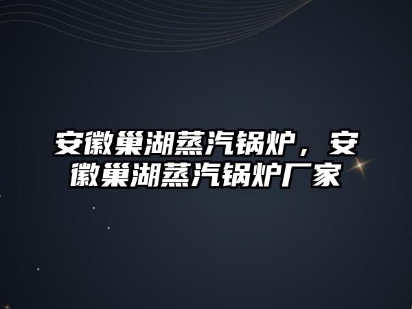 安徽巢湖蒸汽鍋爐，安徽巢湖蒸汽鍋爐廠家