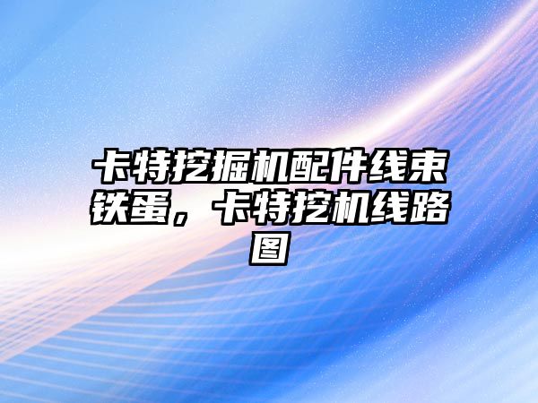 卡特挖掘機配件線束鐵蛋，卡特挖機線路圖