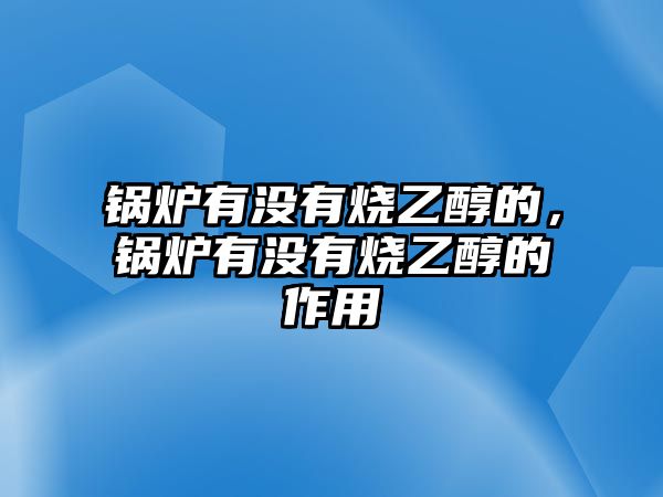 鍋爐有沒有燒乙醇的，鍋爐有沒有燒乙醇的作用