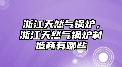 浙江天然氣鍋爐，浙江天然氣鍋爐制造商有哪些