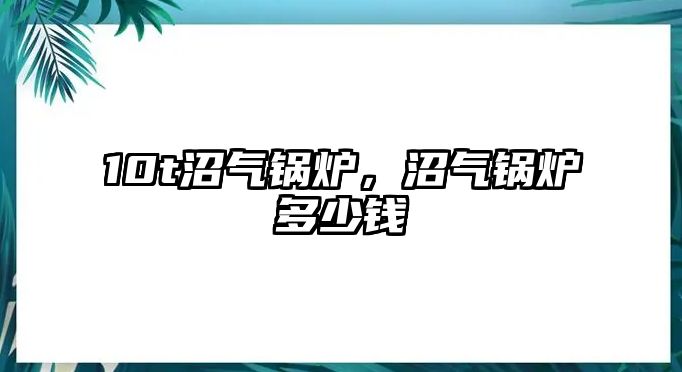 10t沼氣鍋爐，沼氣鍋爐多少錢(qián)