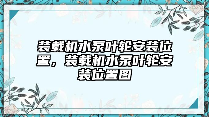 裝載機(jī)水泵葉輪安裝位置，裝載機(jī)水泵葉輪安裝位置圖