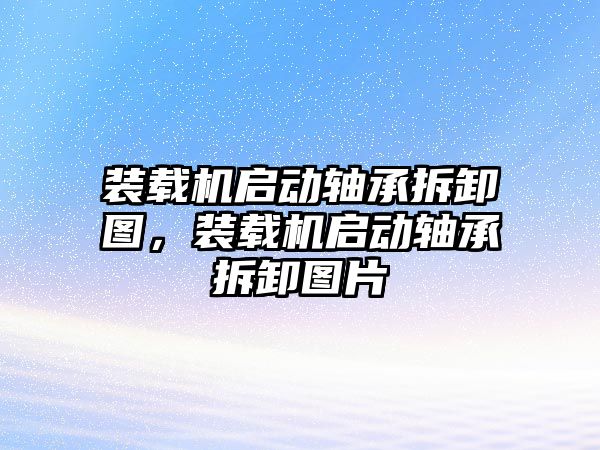 裝載機啟動軸承拆卸圖，裝載機啟動軸承拆卸圖片