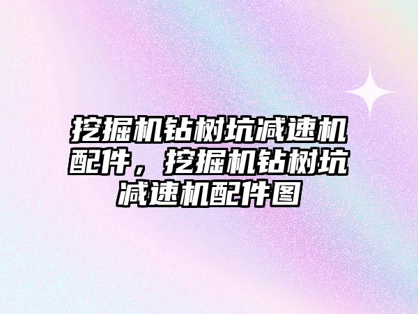 挖掘機鉆樹坑減速機配件，挖掘機鉆樹坑減速機配件圖