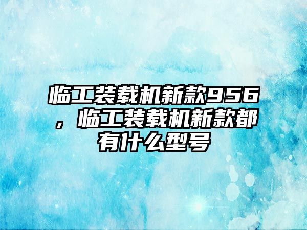 臨工裝載機新款956，臨工裝載機新款都有什么型號