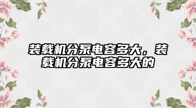 裝載機分泵電容多大，裝載機分泵電容多大的