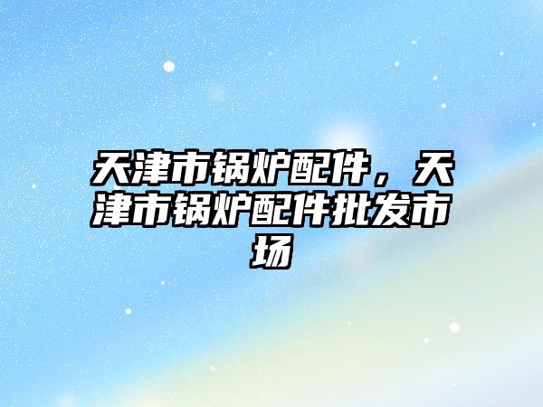 天津市鍋爐配件，天津市鍋爐配件批發(fā)市場