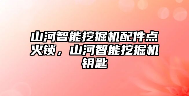 山河智能挖掘機配件點火鎖，山河智能挖掘機鑰匙