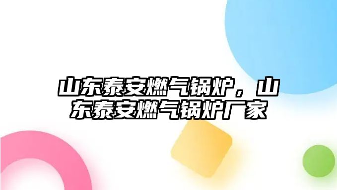 山東泰安燃?xì)忮仩t，山東泰安燃?xì)忮仩t廠家