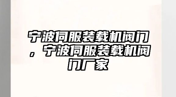 寧波伺服裝載機(jī)閥門，寧波伺服裝載機(jī)閥門廠家