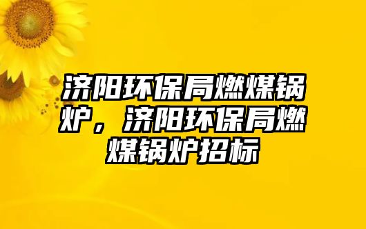 濟(jì)陽環(huán)保局燃煤鍋爐，濟(jì)陽環(huán)保局燃煤鍋爐招標(biāo)