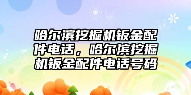 哈爾濱挖掘機鈑金配件電話，哈爾濱挖掘機鈑金配件電話號碼