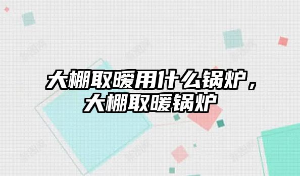 大棚取曖用什么鍋爐，大棚取暖鍋爐