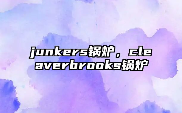 junkers鍋爐，cleaverbrooks鍋爐