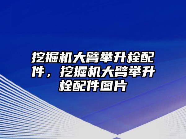 挖掘機(jī)大臂舉升栓配件，挖掘機(jī)大臂舉升栓配件圖片