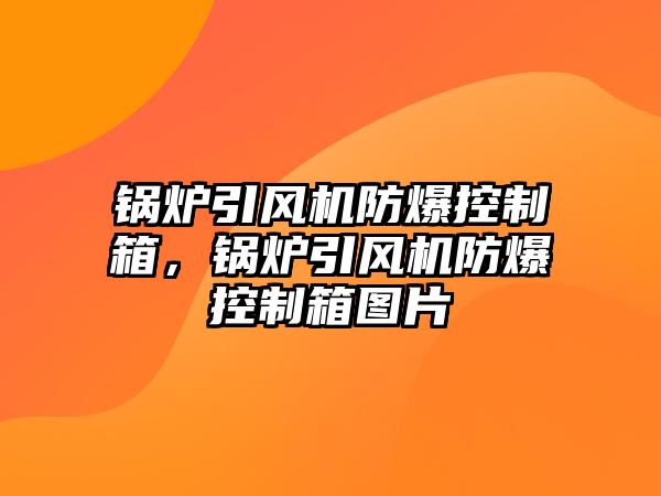 鍋爐引風(fēng)機(jī)防爆控制箱，鍋爐引風(fēng)機(jī)防爆控制箱圖片