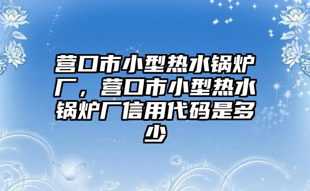 營口市小型熱水鍋爐廠，營口市小型熱水鍋爐廠信用代碼是多少