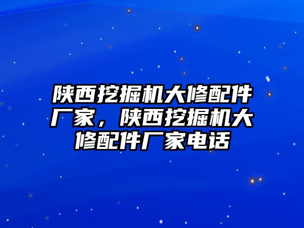 陜西挖掘機大修配件廠家，陜西挖掘機大修配件廠家電話