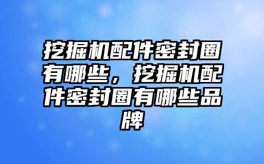 挖掘機(jī)配件密封圈有哪些，挖掘機(jī)配件密封圈有哪些品牌