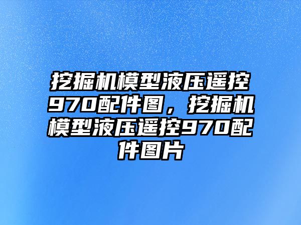 挖掘機(jī)模型液壓遙控970配件圖，挖掘機(jī)模型液壓遙控970配件圖片