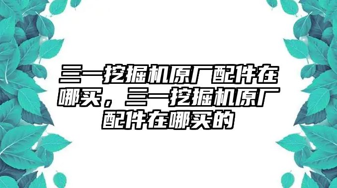 三一挖掘機原廠配件在哪買，三一挖掘機原廠配件在哪買的