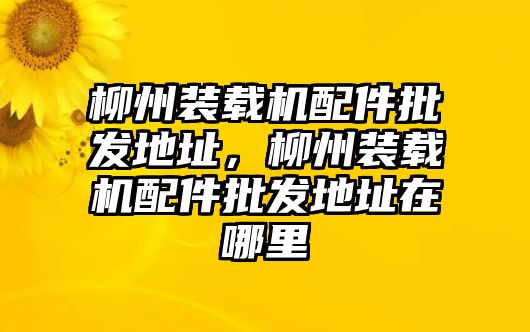 柳州裝載機(jī)配件批發(fā)地址，柳州裝載機(jī)配件批發(fā)地址在哪里