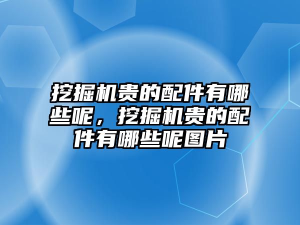 挖掘機(jī)貴的配件有哪些呢，挖掘機(jī)貴的配件有哪些呢圖片