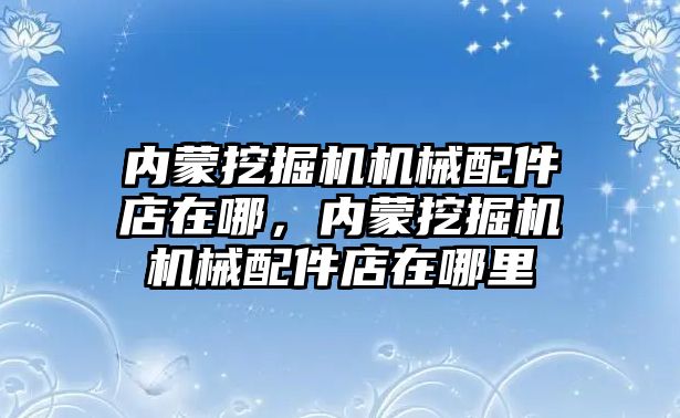 內(nèi)蒙挖掘機機械配件店在哪，內(nèi)蒙挖掘機機械配件店在哪里