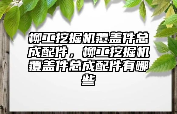 柳工挖掘機(jī)覆蓋件總成配件，柳工挖掘機(jī)覆蓋件總成配件有哪些