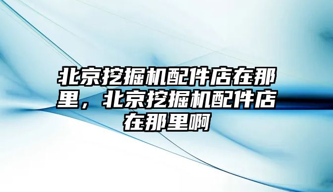 北京挖掘機(jī)配件店在那里，北京挖掘機(jī)配件店在那里啊