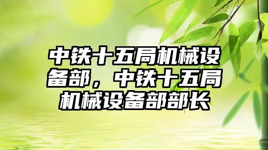 中鐵十五局機械設(shè)備部，中鐵十五局機械設(shè)備部部長