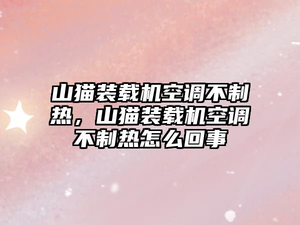 山貓裝載機(jī)空調(diào)不制熱，山貓裝載機(jī)空調(diào)不制熱怎么回事