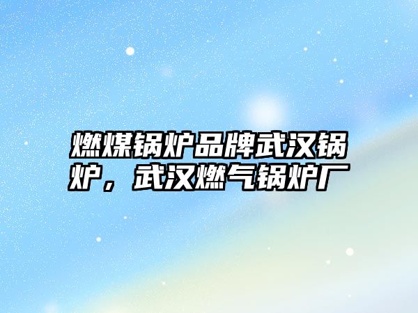 燃煤鍋爐品牌武漢鍋爐，武漢燃?xì)忮仩t廠