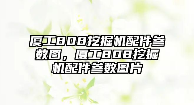 廈工808挖掘機(jī)配件參數(shù)圖，廈工808挖掘機(jī)配件參數(shù)圖片