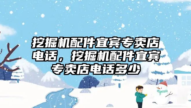 挖掘機(jī)配件宜賓專賣店電話，挖掘機(jī)配件宜賓專賣店電話多少