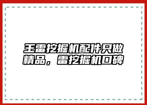 王雷挖掘機配件只做精品，雷挖掘機口碑