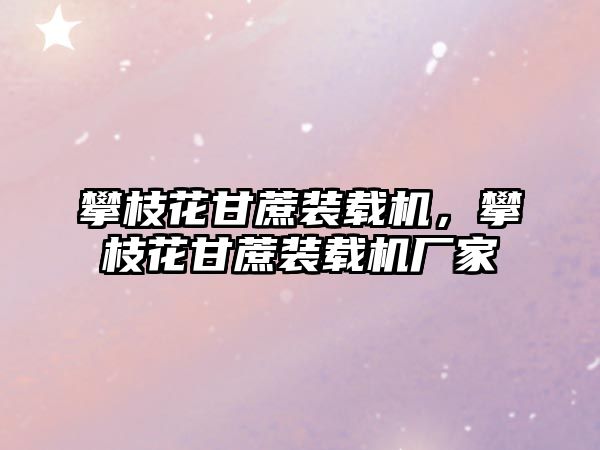 攀枝花甘蔗裝載機，攀枝花甘蔗裝載機廠家