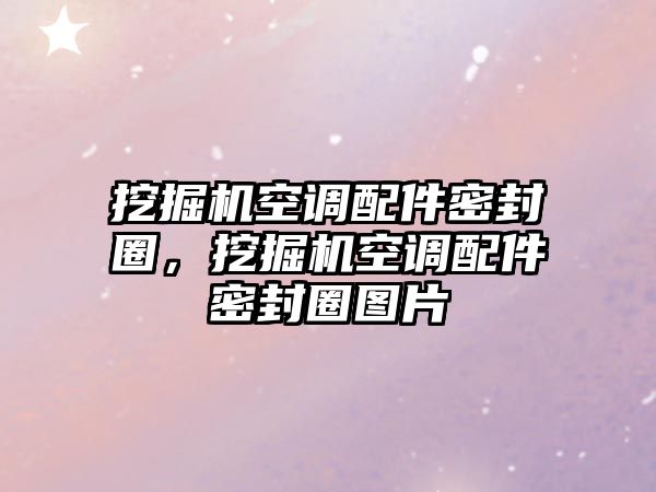 挖掘機(jī)空調(diào)配件密封圈，挖掘機(jī)空調(diào)配件密封圈圖片