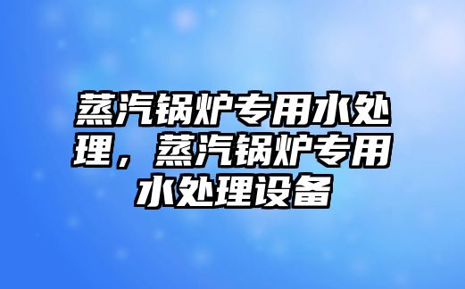 蒸汽鍋爐專用水處理，蒸汽鍋爐專用水處理設(shè)備