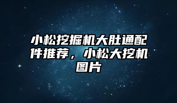 小松挖掘機大肚通配件推薦，小松大挖機圖片