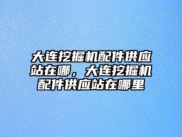 大連挖掘機(jī)配件供應(yīng)站在哪，大連挖掘機(jī)配件供應(yīng)站在哪里