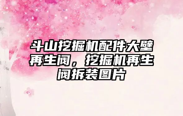 斗山挖掘機(jī)配件大壁再生閥，挖掘機(jī)再生閥拆裝圖片